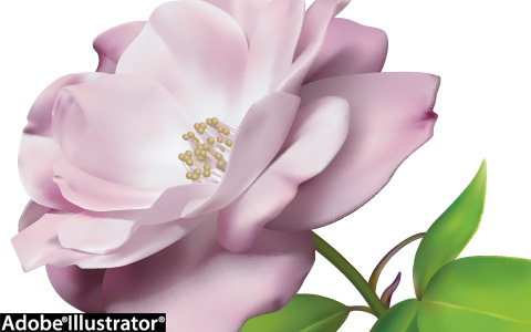 illustratorサンプル03